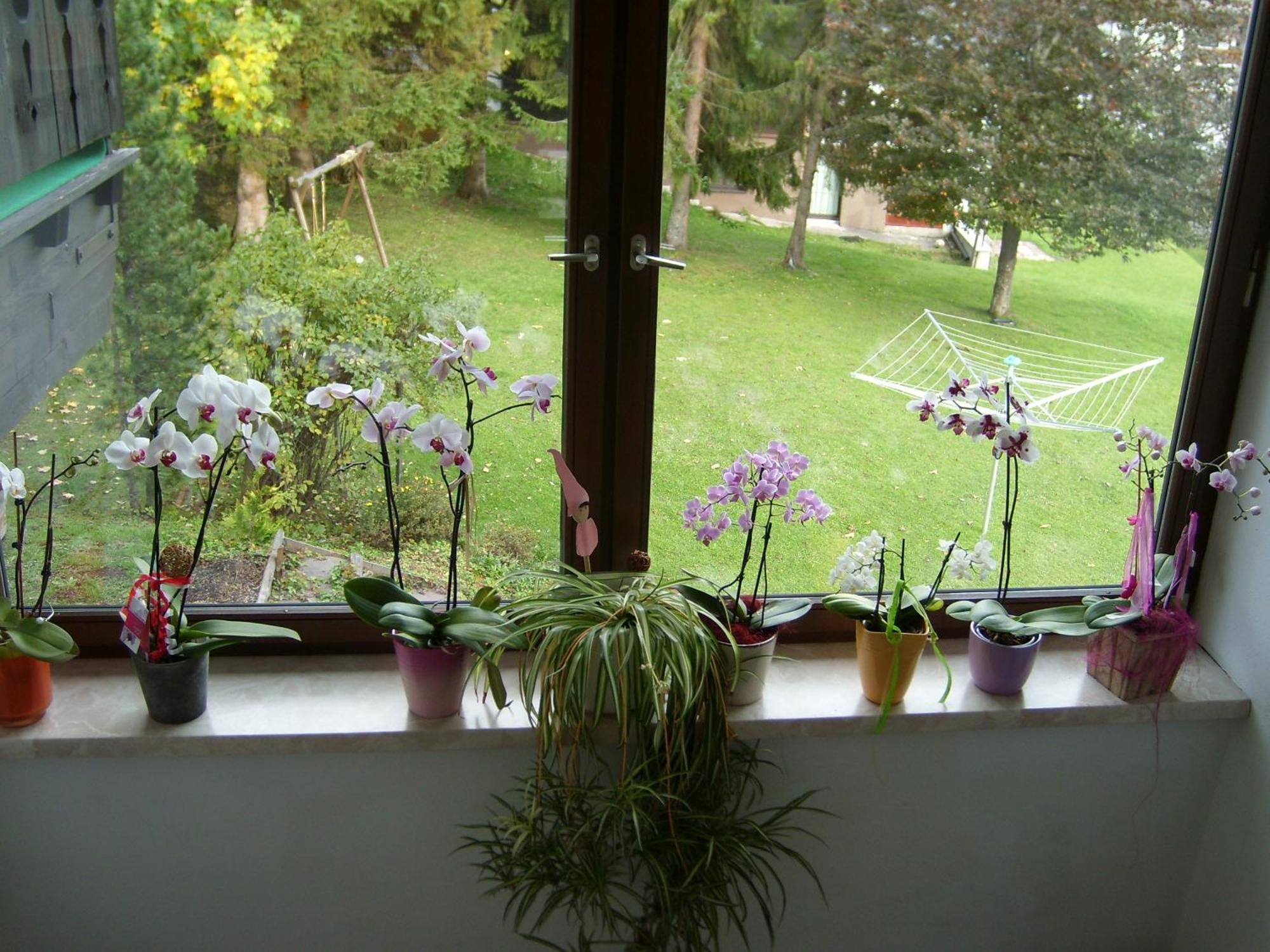 Appartements Birkenhof バーワング エクステリア 写真